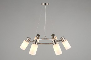 Подвесная люстра Omnilux Ales OML-69113-06 в Качканаре - kachkanar.mebel24.online | фото 6