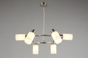 Подвесная люстра Omnilux Ales OML-69113-06 в Качканаре - kachkanar.mebel24.online | фото 7