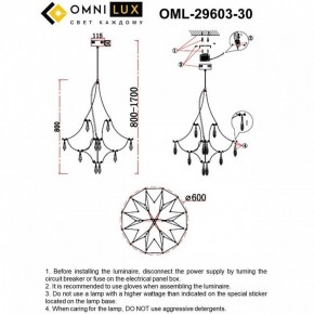 Подвесная люстра Omnilux Perelli OML-29603-30 в Качканаре - kachkanar.mebel24.online | фото 10