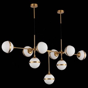 Подвесная люстра ST-Luce Arbe SL1157.303.09 в Качканаре - kachkanar.mebel24.online | фото 4