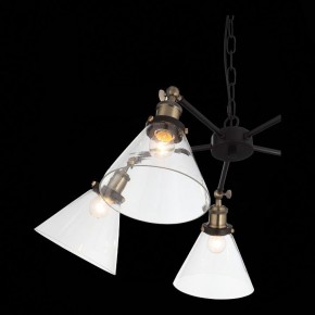 Подвесная люстра ST-Luce Evoluto SL237.413.05 в Качканаре - kachkanar.mebel24.online | фото 7