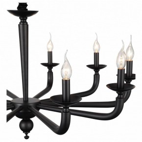 Подвесная люстра ST-Luce SL1114 SL1114.403.10 в Качканаре - kachkanar.mebel24.online | фото 4