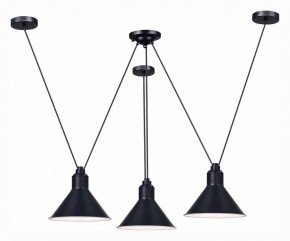 Подвесная люстра ST-Luce Svevo SL1804.403.03 в Качканаре - kachkanar.mebel24.online | фото 2
