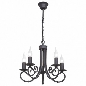 Подвесная люстра Vitaluce 3407 V3407/5 в Качканаре - kachkanar.mebel24.online | фото 2