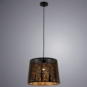 Подвесной светильник Arte Lamp Celesta A2769SP-1BK в Качканаре - kachkanar.mebel24.online | фото 3