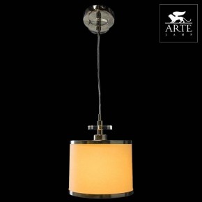 Подвесной светильник Arte Lamp Furore A3990SP-1CC в Качканаре - kachkanar.mebel24.online | фото 3