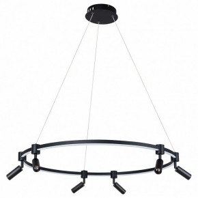 Подвесной светильник Arte Lamp Ring A2186SP-1BK в Качканаре - kachkanar.mebel24.online | фото 2