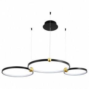 Подвесной светильник Divinare Amadeo 1123/04 SP-75 в Качканаре - kachkanar.mebel24.online | фото