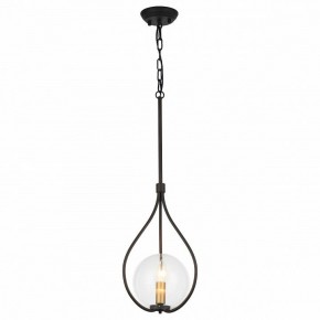 Подвесной светильник Favourite Kessel 1905-1P в Качканаре - kachkanar.mebel24.online | фото 2