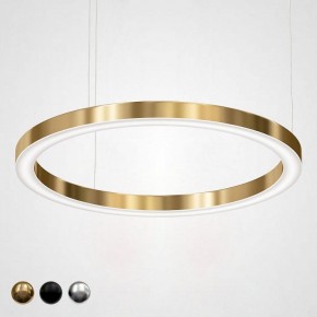 Подвесной светильник Imperiumloft Light Ring Horizontal 40.1454-100 в Качканаре - kachkanar.mebel24.online | фото