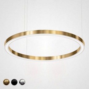 Подвесной светильник Imperiumloft Light Ring Horizontal 40.1454-120 в Качканаре - kachkanar.mebel24.online | фото 1