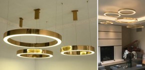 Подвесной светильник Imperiumloft Light Ring Horizontal 40.1454-40 в Качканаре - kachkanar.mebel24.online | фото 3