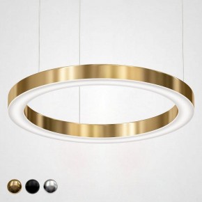 Подвесной светильник Imperiumloft Light Ring Horizontal 40.1454-80 в Качканаре - kachkanar.mebel24.online | фото