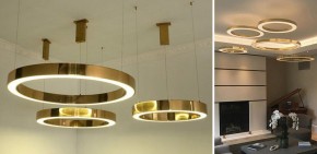 Подвесной светильник Imperiumloft Light Ring Horizontal 40.1454-80 в Качканаре - kachkanar.mebel24.online | фото 2