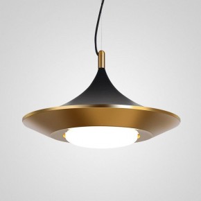 Подвесной светильник Imperiumloft Rask RASK01 в Качканаре - kachkanar.mebel24.online | фото 2