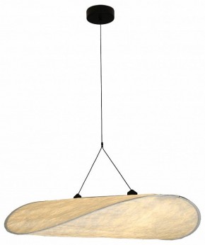 Подвесной светильник Kink Light Брами 08022-100A,01 в Качканаре - kachkanar.mebel24.online | фото 2