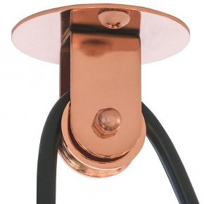 Подвесной светильник Lightstar Acrobata 761073 в Качканаре - kachkanar.mebel24.online | фото 5
