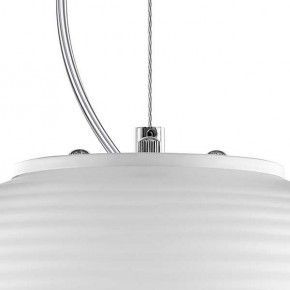 Подвесной светильник Lightstar Arnia 805011 в Качканаре - kachkanar.mebel24.online | фото 6