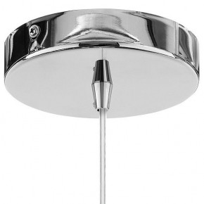 Подвесной светильник Lightstar Arnia 805016 в Качканаре - kachkanar.mebel24.online | фото 7