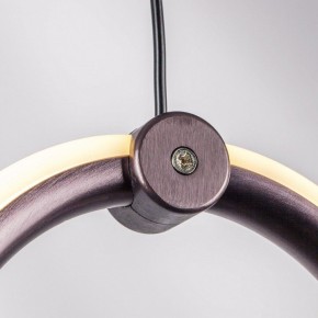 Подвесной светильник Lightstar Caramello 796139 в Качканаре - kachkanar.mebel24.online | фото 5