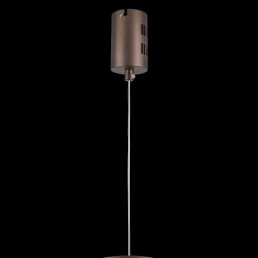 Подвесной светильник Lightstar Faraone 701101 в Качканаре - kachkanar.mebel24.online | фото 6