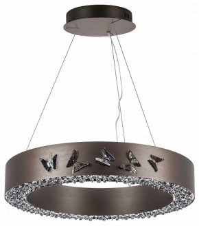 Подвесной светильник Lightstar Faraone 701161 в Качканаре - kachkanar.mebel24.online | фото 2