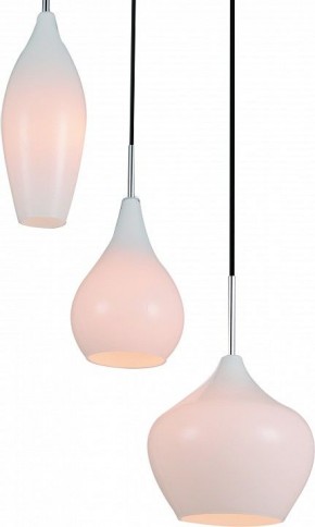 Подвесной светильник Lightstar Pentola 803050 в Качканаре - kachkanar.mebel24.online | фото 2