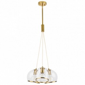 Подвесной светильник Lightstar Sferico 729031 в Качканаре - kachkanar.mebel24.online | фото 2