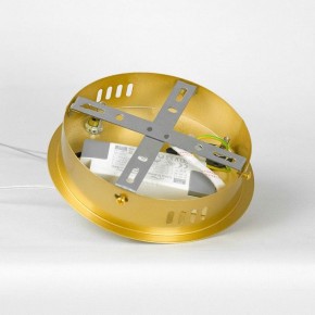Подвесной светильник Lussole Benton LSP-7339 в Качканаре - kachkanar.mebel24.online | фото 8