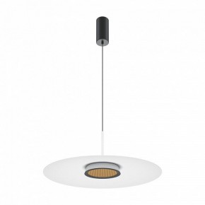 Подвесной светильник Maytoni Halo MOD041PL-L15W3K1 в Качканаре - kachkanar.mebel24.online | фото 2