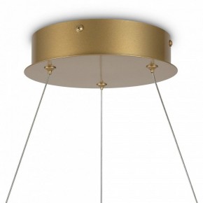 Подвесной светильник Maytoni Halo MOD100PL-L88BSK1 в Качканаре - kachkanar.mebel24.online | фото 6