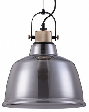 Подвесной светильник Maytoni Irving T163PL-01C в Качканаре - kachkanar.mebel24.online | фото 2