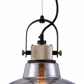 Подвесной светильник Maytoni Irving T163PL-01C в Качканаре - kachkanar.mebel24.online | фото 9