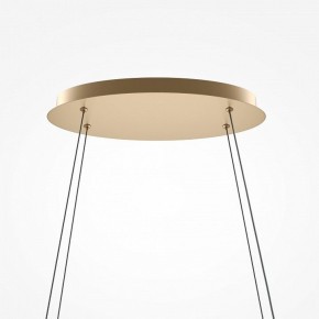 Подвесной светильник Maytoni Plons MOD283PL-L65BS3K в Качканаре - kachkanar.mebel24.online | фото 4