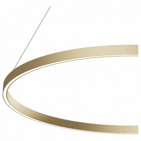 Подвесной светильник Maytoni Rim MOD058PL-L54BS4K в Качканаре - kachkanar.mebel24.online | фото 5