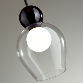 Подвесной светильник Odeon Light Blacky 2 5023/1 в Качканаре - kachkanar.mebel24.online | фото 6