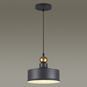 Подвесной светильник Odeon Light Bolli 4088/1 в Качканаре - kachkanar.mebel24.online | фото 4
