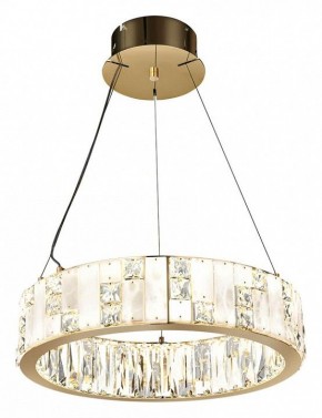 Подвесной светильник Odeon Light Crossa 5072/60L в Качканаре - kachkanar.mebel24.online | фото 2