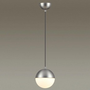 Подвесной светильник Odeon Light Pinga 4959/1 в Качканаре - kachkanar.mebel24.online | фото 2