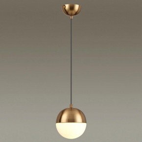 Подвесной светильник Odeon Light Pinga 4960/1 в Качканаре - kachkanar.mebel24.online | фото 2