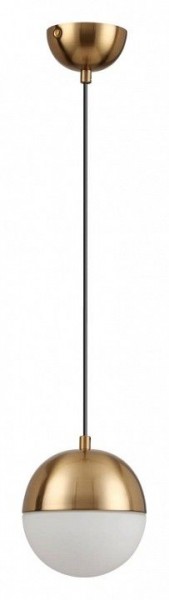 Подвесной светильник Odeon Light Pinga 4960/1 в Качканаре - kachkanar.mebel24.online | фото 3
