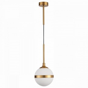 Подвесной светильник ST-Luce Arbe SL1157.303.01 в Качканаре - kachkanar.mebel24.online | фото 2
