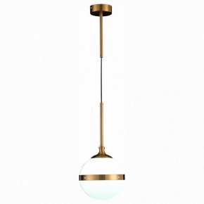 Подвесной светильник ST-Luce Arbe SL1157.303.01 в Качканаре - kachkanar.mebel24.online | фото 3
