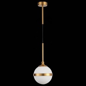 Подвесной светильник ST-Luce Arbe SL1157.303.01 в Качканаре - kachkanar.mebel24.online | фото 4