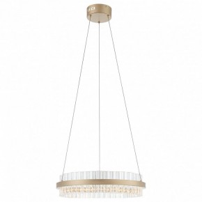 Подвесной светильник ST-Luce Cherio SL383.203.01 в Качканаре - kachkanar.mebel24.online | фото 3
