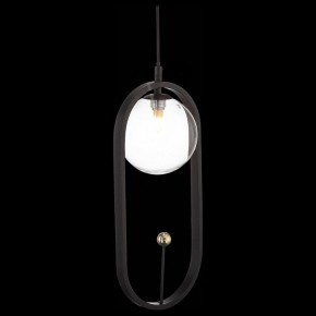 Подвесной светильник ST-Luce Circono SL1201.403.01 в Качканаре - kachkanar.mebel24.online | фото 4