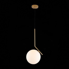 Подвесной светильник ST-Luce Codda SL1148.303.01 в Качканаре - kachkanar.mebel24.online | фото 5