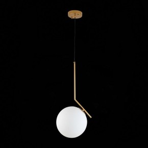 Подвесной светильник ST-Luce Codda SL1148.303.01 в Качканаре - kachkanar.mebel24.online | фото 6