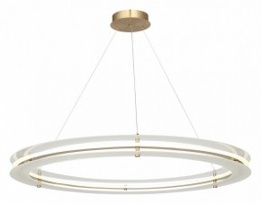 Подвесной светильник ST-Luce FAGY SL6245.213.01 в Качканаре - kachkanar.mebel24.online | фото 4