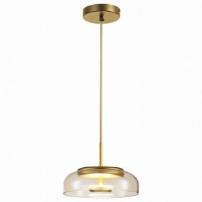 Подвесной светильник ST-Luce Lacio SL6002.203.01 в Качканаре - kachkanar.mebel24.online | фото